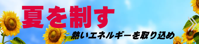 第一志望合格主義 受験に強い家庭教師の案内